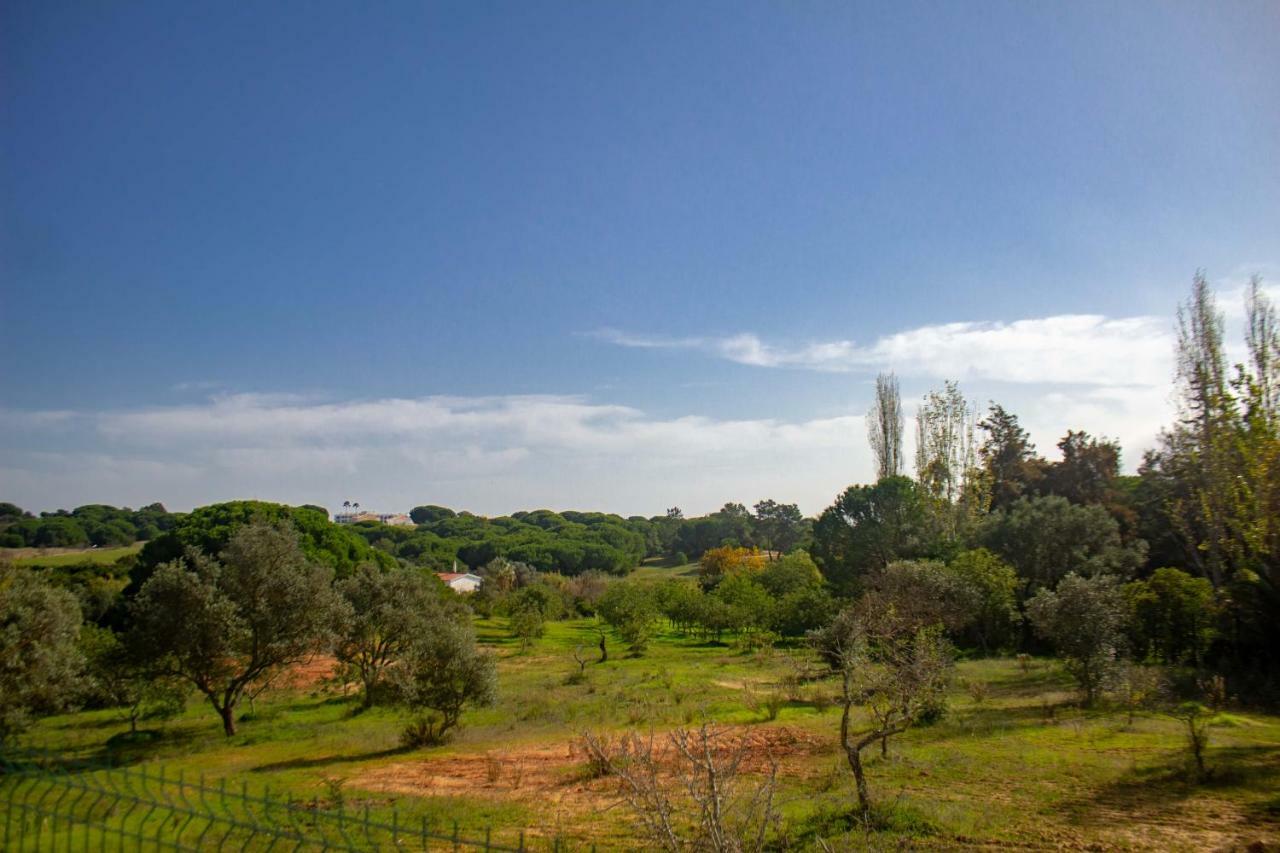 Villa Yvonne,Private Pool,Private Parking 1,7 Km From The Beatch Albufeira Exteriér fotografie